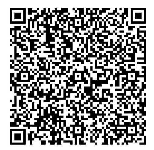 Team Morning Star UPI Payment QR Code
